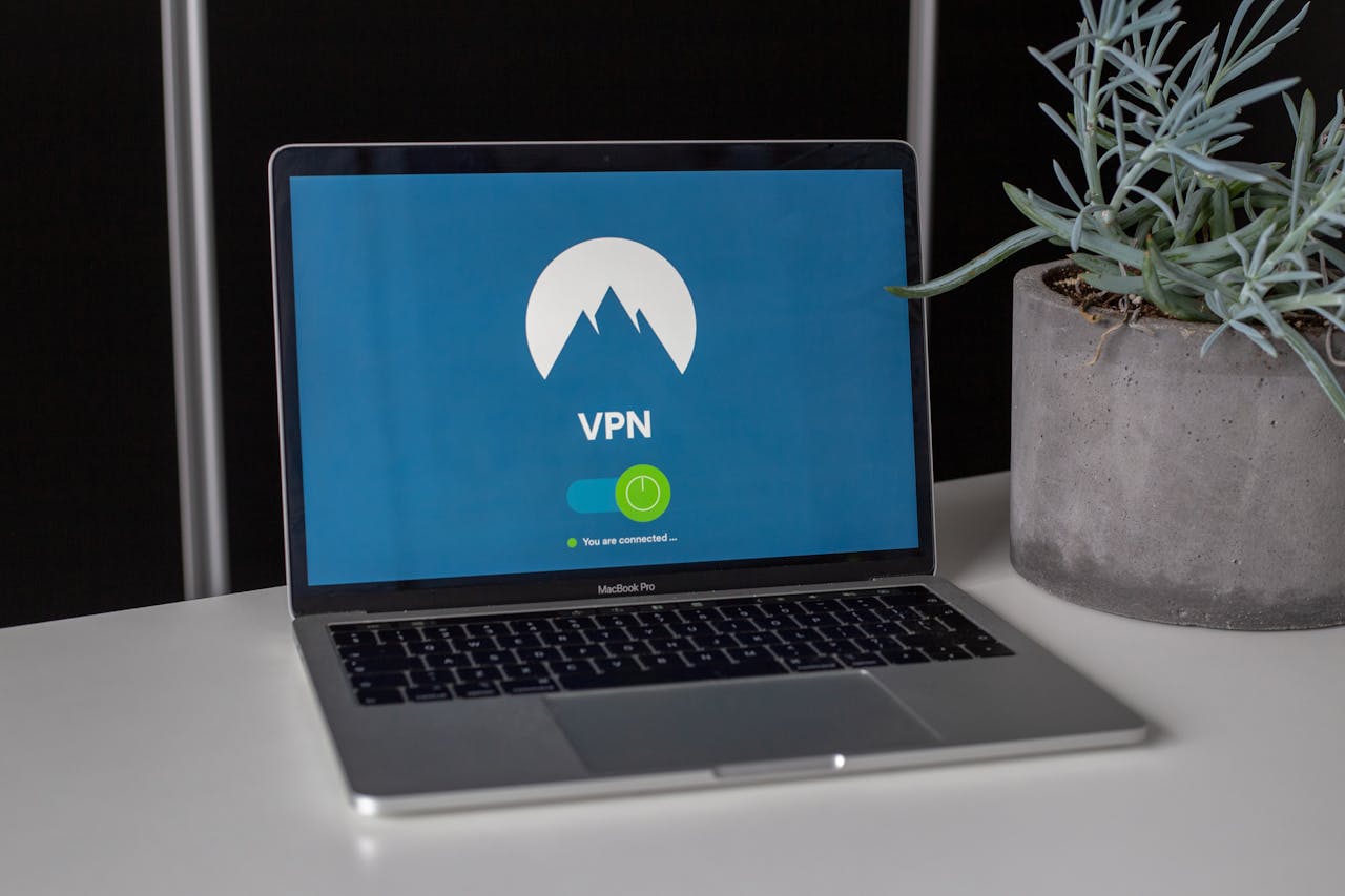 Offerings Laptop with VPN screen and a succulent plant on a desk, emphasizing online privacy and security.